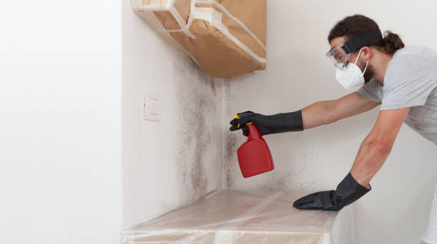 Professional Bathroom Mold Removal technician working in Lurgan, PA