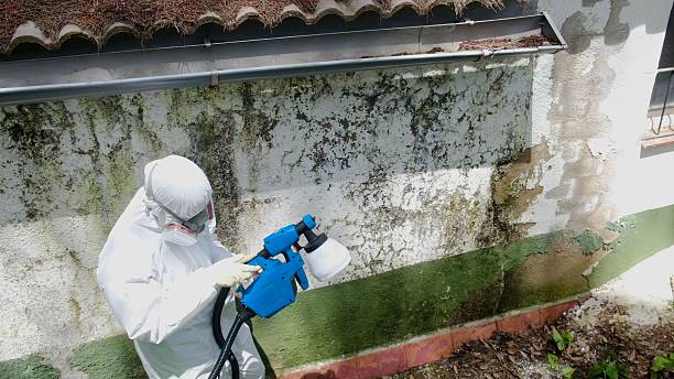 Top rated local Bathroom Mold Removal specialists in Lurgan, PA